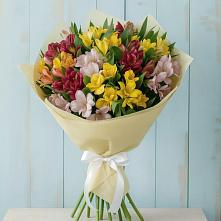 Букет цветов из:  Альстромерии #REPLACE_PRED# Хлопово