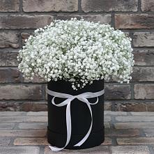 Цветочная композиция из Гипсофила в шляпной коробке #REPLACE_PRED# Хлопово